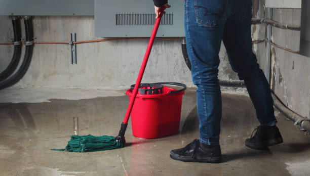 Reliable West Branch, IA Water damage restoration Solutions