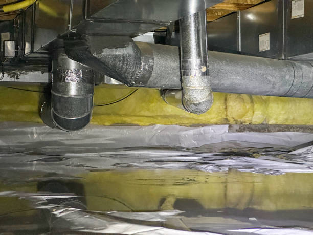 Best Basement water damage restoration  in West Branch, IA